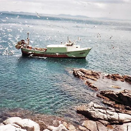 Agi Ferran 32 *